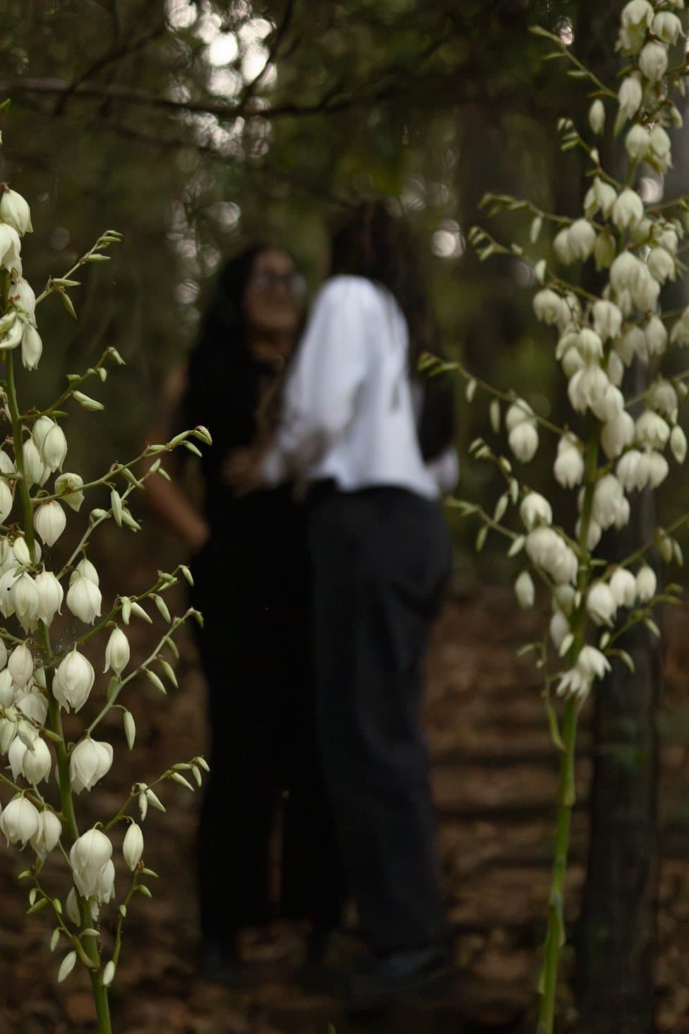 Couple in the woods, framed by blooms