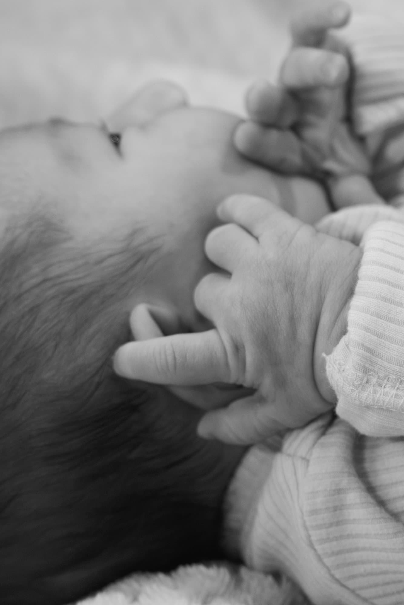 Newborn session