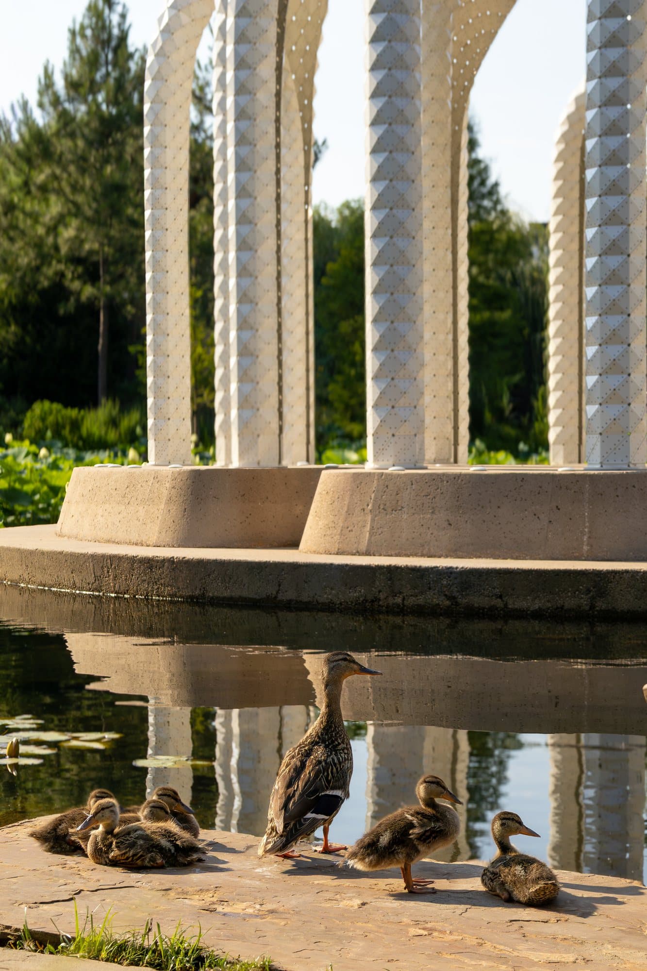 Urban portrait among the columns